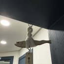 고잔방사선과의원 이미지