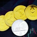 에스지엠 이미지