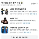 🥕역대급 뒷북 당근 경도 후기 with 벨라곰🧸