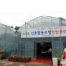 김상문농장 이미지