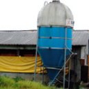 기민농장 이미지