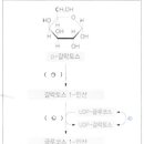 갈락토스혈증 이미지