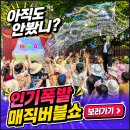 아이그루유치원 | 버블쇼 섭외문의는? 시흥 안산 유치원 초등학교 야외 매직버블쇼 후기