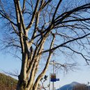 나오스펜션 | 담양가족펜션 추천, 나오스빌라 담양펜션 후기에요