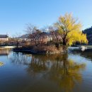 두류공원 이미지