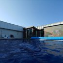 임동사우나 이미지