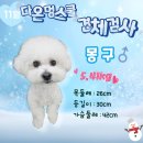 다온멍스쿨 이미지