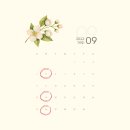 미그루한의원 이미지