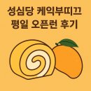 월요일 | [성심당 케익부띠끄] 망고롤 오픈런 후기 🍰 | 월요일 평일 대기줄부터 인기 디저트 구매까지!