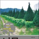 큰나무농장 이미지