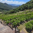 부산추모공원 이미지