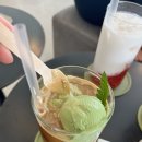 든해 | 아산 둔포 주말나들이 애견동반 감성 카페 든해 티그레 맛집 후기