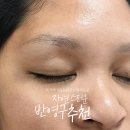 BROW GOGO | Brow Tattoo Korea 외국인 눈썹문신 인스타 DM 간편 예약