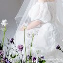 이성광 | 제주 결혼준비 순서 꿀팁과 계약업체 견적공유