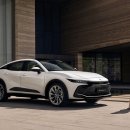 메인크라운 이미지