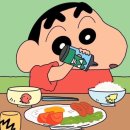 닭박사