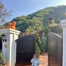 리베볼(liebevoll) | 대구근교 할로윈 카페 성주 실시간 "리베볼" 후기