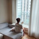 장기미소약국 | 마이디데이 플로라필 성분 복용법 부작용? 내돈내산으로 효과본 후기