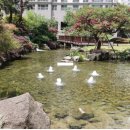 삼성래미안하이어스 이미지