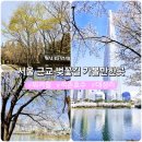 [오전N] 봄 오카리나로 즐겨봄 | 4월 벚꽃길 가볼만한곳 서울 근교 워커힐산책로 석촌호수 대성리길 근처 주차정보 맛집정리