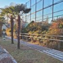 봉곡 운동장 이미지