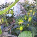 박순자농장 이미지