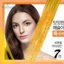 에스에스(SS) 이미지