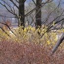 하루의풍경 이미지