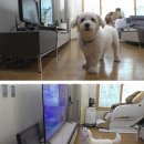 영원농장 스타데일리뉴스 