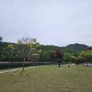 장계 | 대청호 뷰는 덤! 댕댕이와 함께한 옥천 장계관광지 나들이 후기