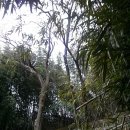 청도감마을 이미지