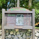 삼다수숲길 1코스 티스토리