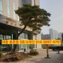 종촌동소망교회앞 네이버블로그
