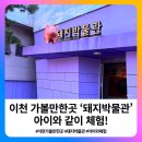 충성농장 | [공지] 이천 가볼만한곳 돼지박물관 아이와 같이 체험!