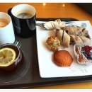 아라파파 이미지