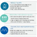 차바이오텍(085660)에 이달 강력한 상승에 대한 분석 및 소견 이미지