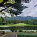 짝 스크린골프 이미지