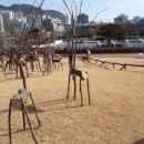 작은동물원 이미지