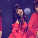 세리 뉴스엔