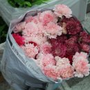 플라워디자인 이미지