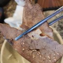 대가24시간순대국 | 수원 kt위즈파크 근처 24시간운영 순대국 맛집 '대가순대국' 방문후기