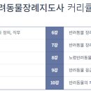 한국반려동물교육원 이미지