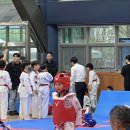 한국체대 신일태권도장 이미지