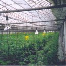 세도농장 이미지