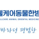 웰케어 동물건강검진센터·동물한방재활센터 이미지