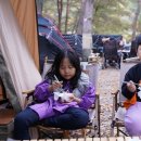 용추솔밭민박 | 🎃할로윈 캠👻내리계곡솔밭캠핑 영월 은행나무 의림지 언덕동 4번 사이트🍂