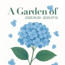 농업회사법인 주식회사 섭지코지 | 보롬왓 수국정원 축제: 제주 초여름을 물들이는 화려한 수국의 향연!