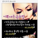 이쁜여우 네이버블로그