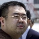 김정남 카카오 검색결과