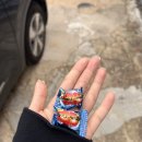 성환식당 | 철원 현지인 맛집 성환식당 솔직 후기(산더미 오징어 물회, 백종원, 주차, 가성비)